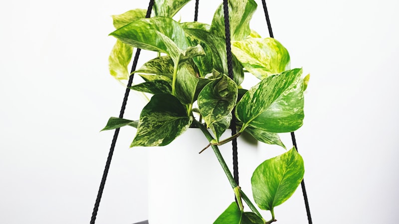 2026世界杯决赛场馆纽约大都会体育场夜景